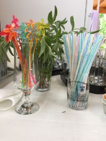 Sommerfest_2019_01.jpg