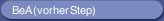 BeA (vorher Step)